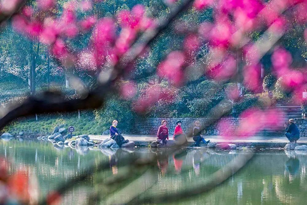 “校花”陈皖枝：因被丈夫宠爱，把自己养到3百斤，最终睡塌2张床